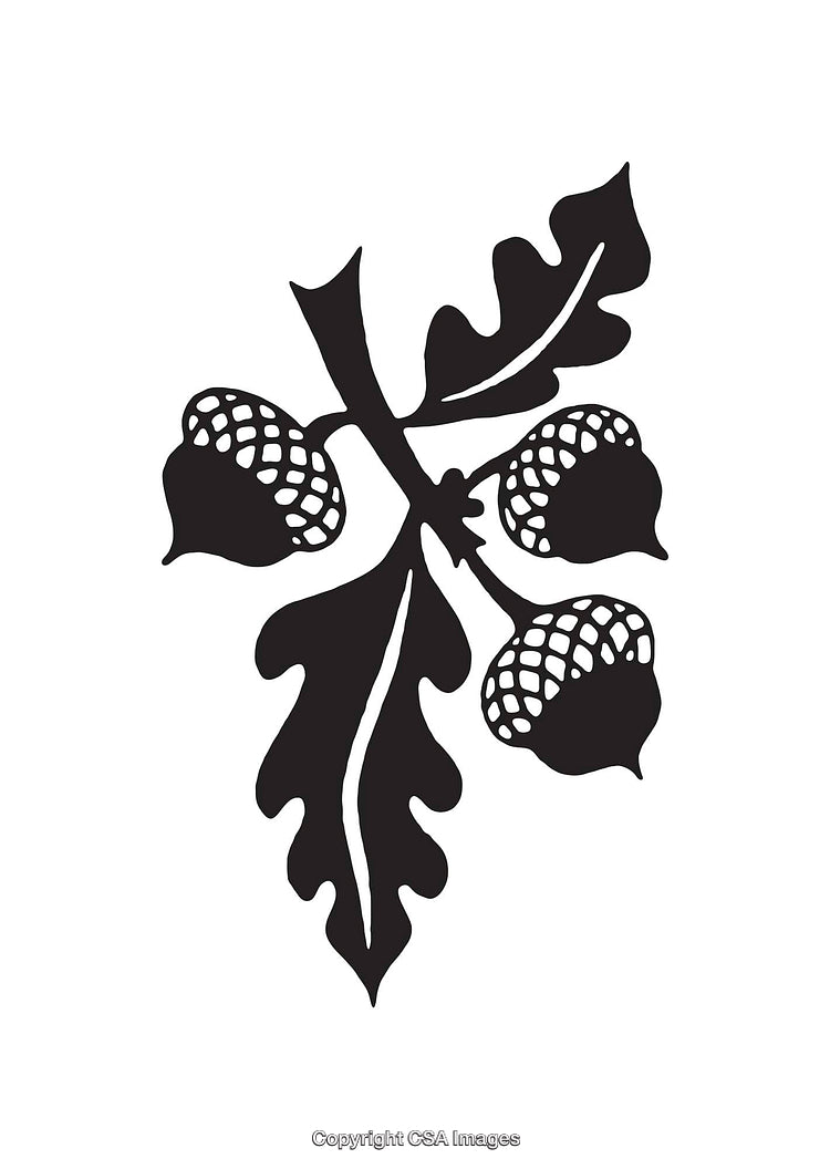 Stylized Black and White Illustration of Acorns on Oak Leaves