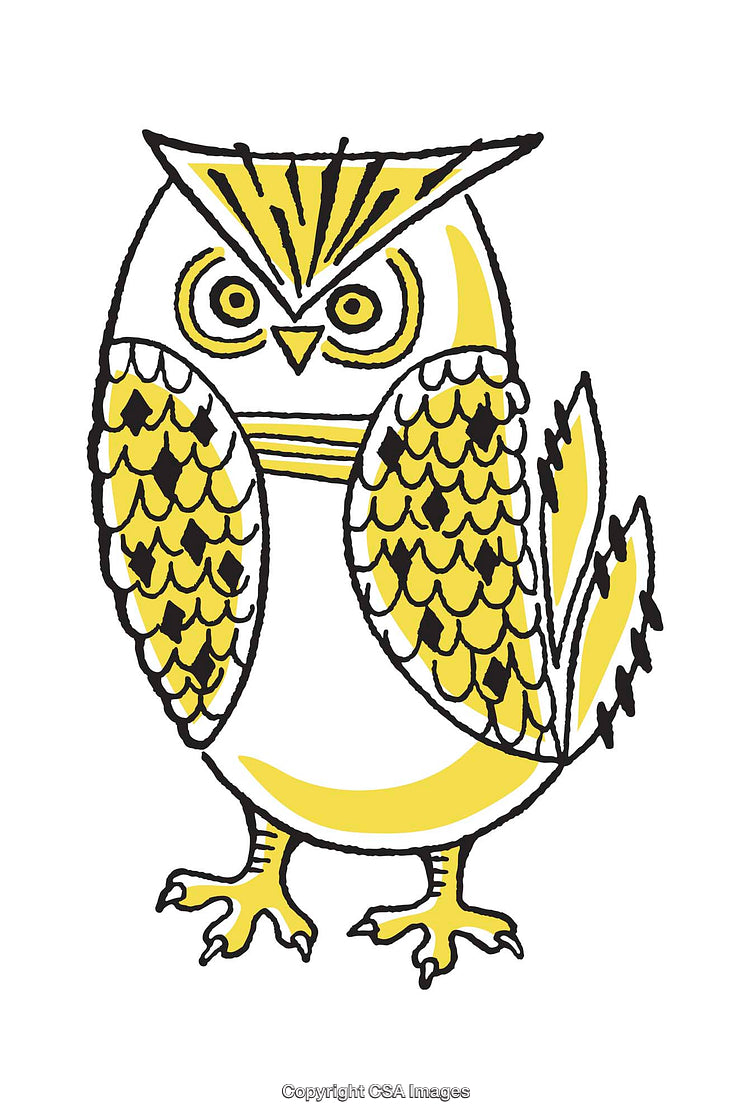 Stylized Bright Yellow and Black Owl Illustration on White Background