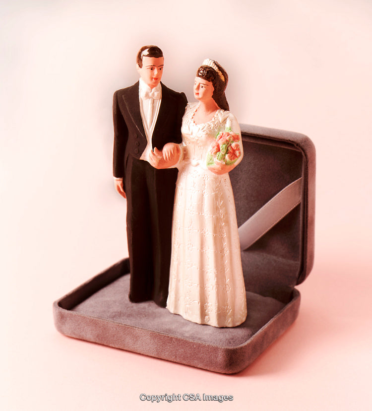 Wedding Figurines in Elegant Case on Pastel Background