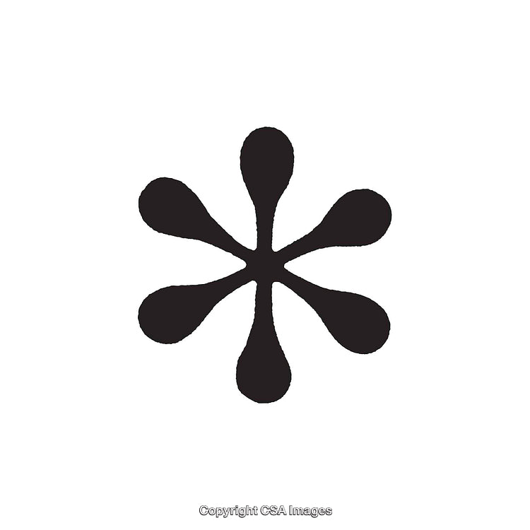 Abstract Black and White Design with Symmetrical Patterns on White Background