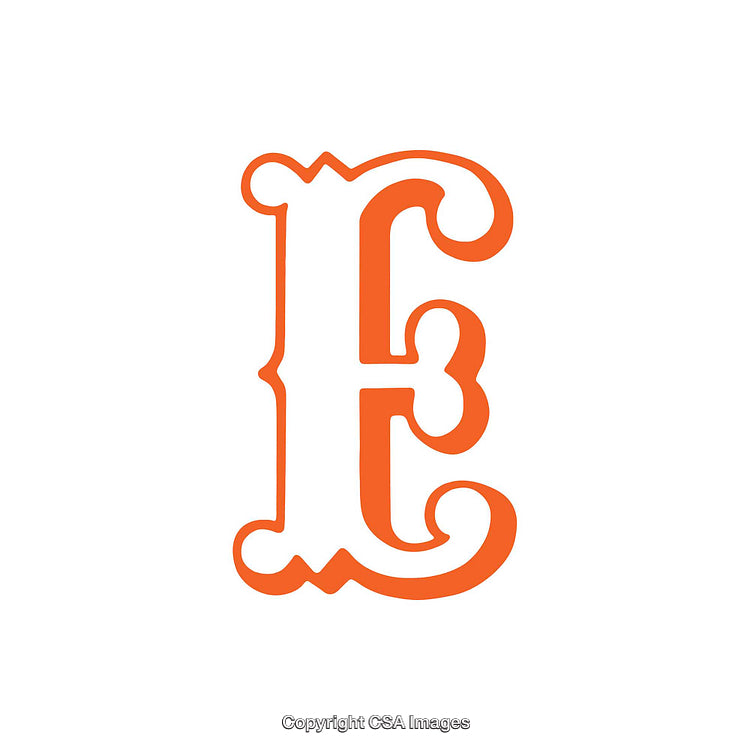 Decorative Ornate Letter E in Bold Orange Style