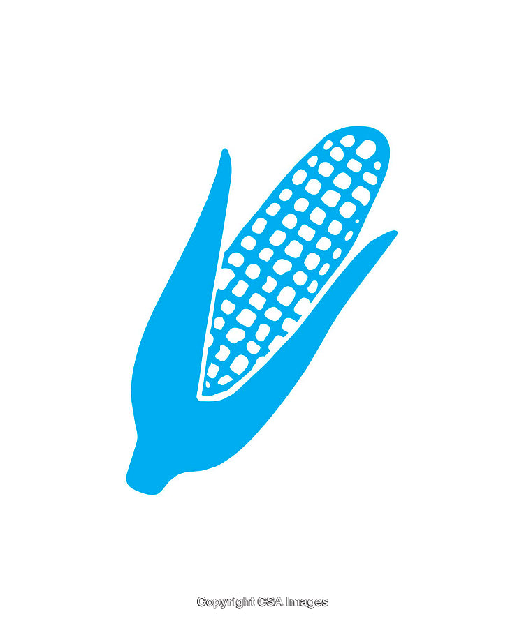 Blue Corn Icon Isolated on White Background