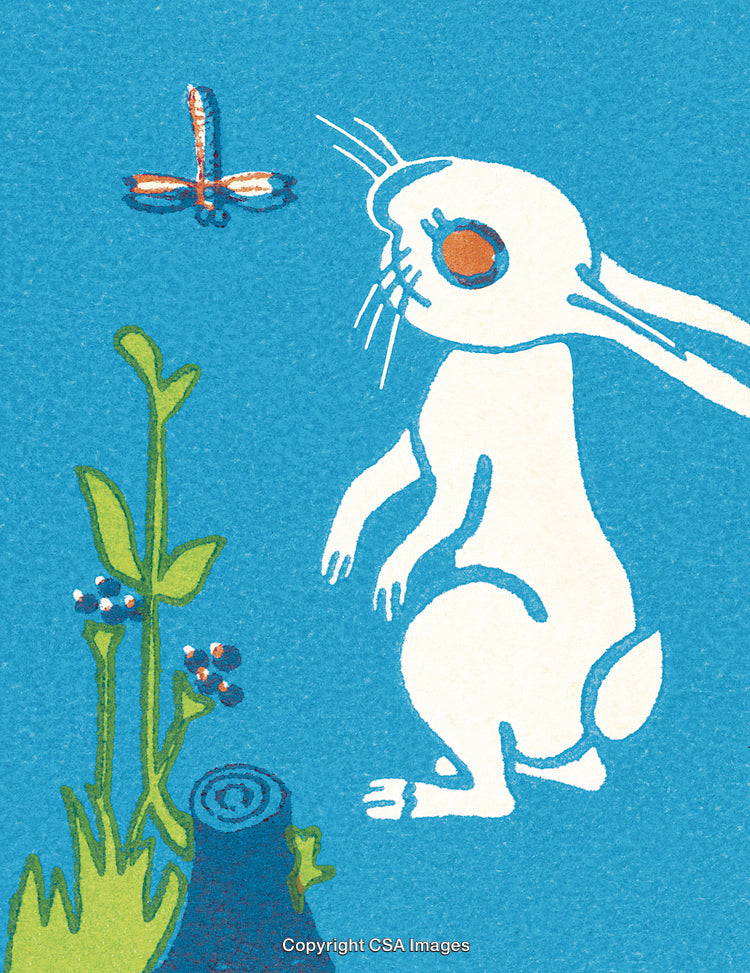 Illustration of Rabbit Observing a Dragonfly in Nature Setting