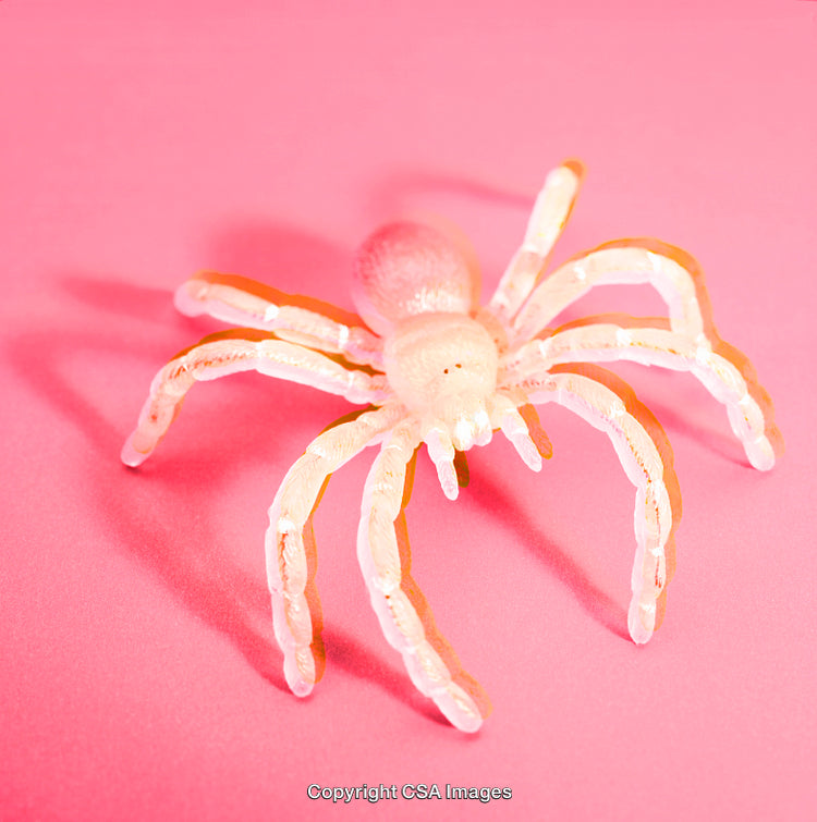 Plastic Spider Toy On Pink Background With Creative Lighting Display