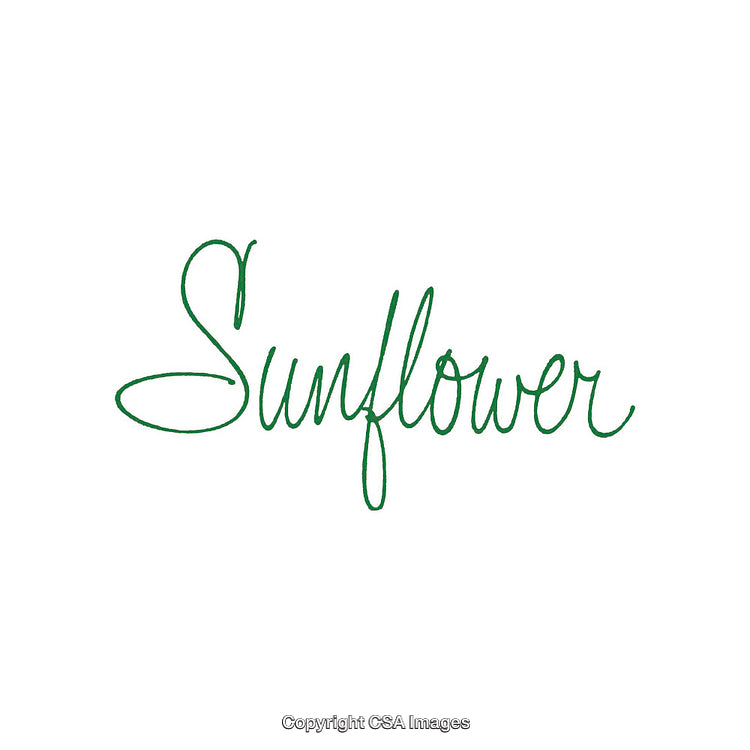 Elegant Handwritten Green Text Reading 'Sunflower' on a White Background