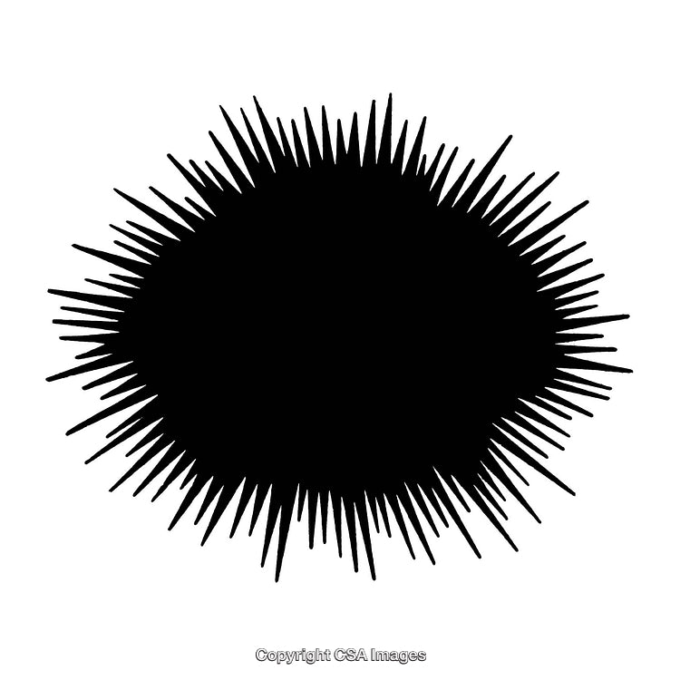 Black and White Abstract Spiked Border Design on White Background