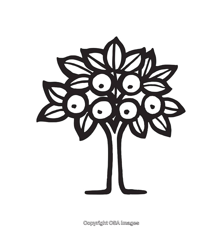 Simplistic Black and White Tree Line Art Illustration