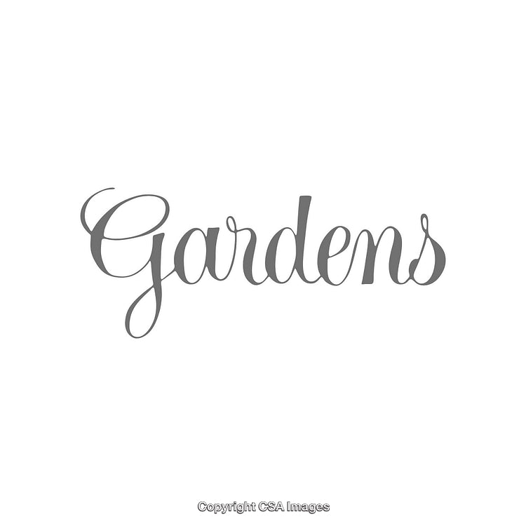 Elegant Gray Cursive Typography Featuring the Word 'Gardens'