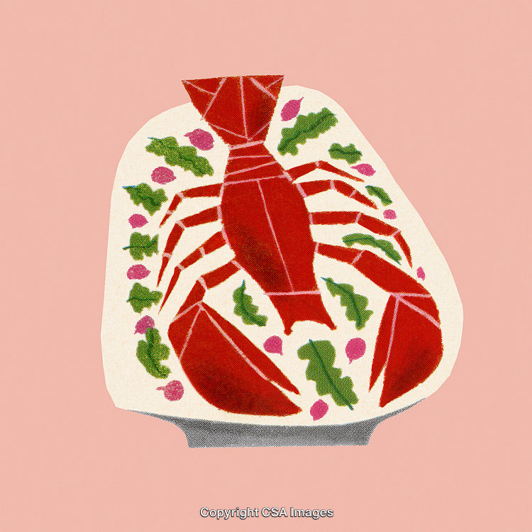 Colorful Lobster Illustration on Pink Background with Abstract Design