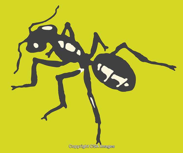 Stylized Illustration of an Ant on a Vibrant Green Background