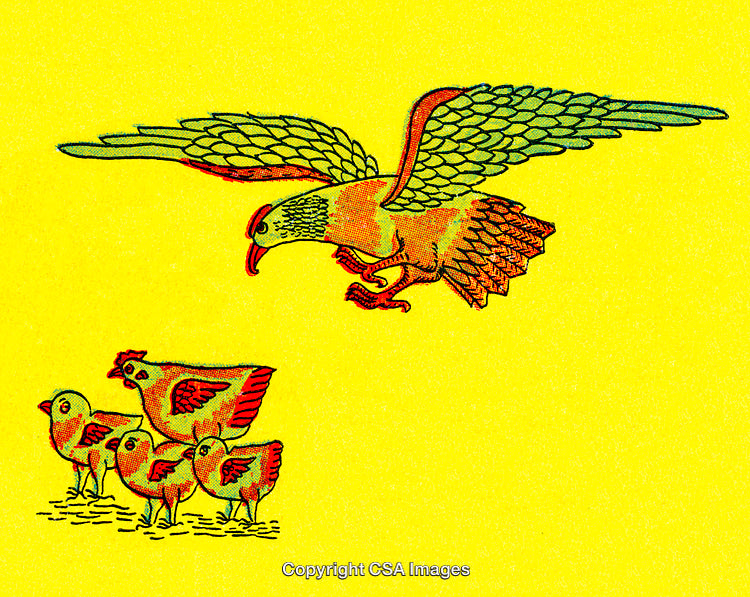 Illustration of Eagle Swooping Towards Hens and Chicks on Bright Yellow Background