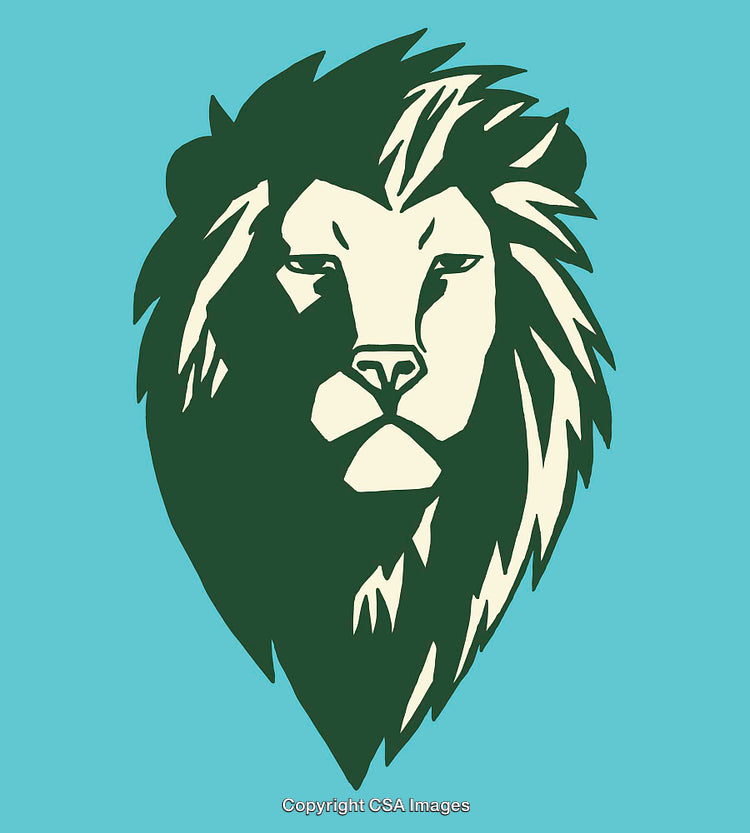 Vibrant Lion Head Illustration with Bold Colors and Geometric Details