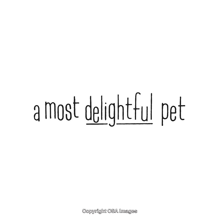 Inspirational Minimalist Text About Delightful Pets and Happiness
