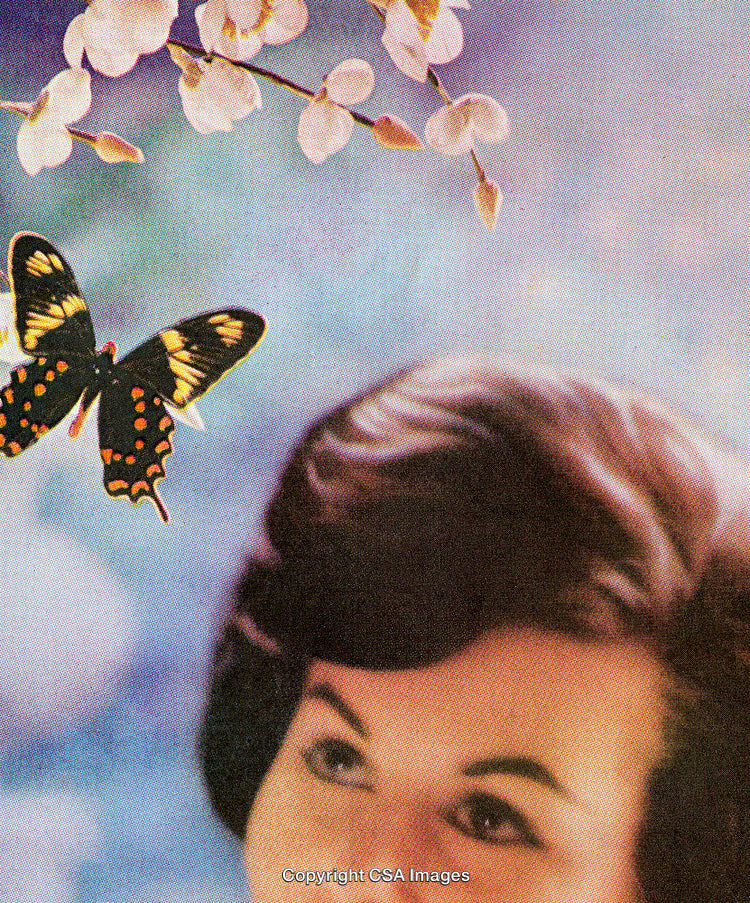 Vintage Image of Butterfly and Blossoms Evoking Nostalgia and Elegance.