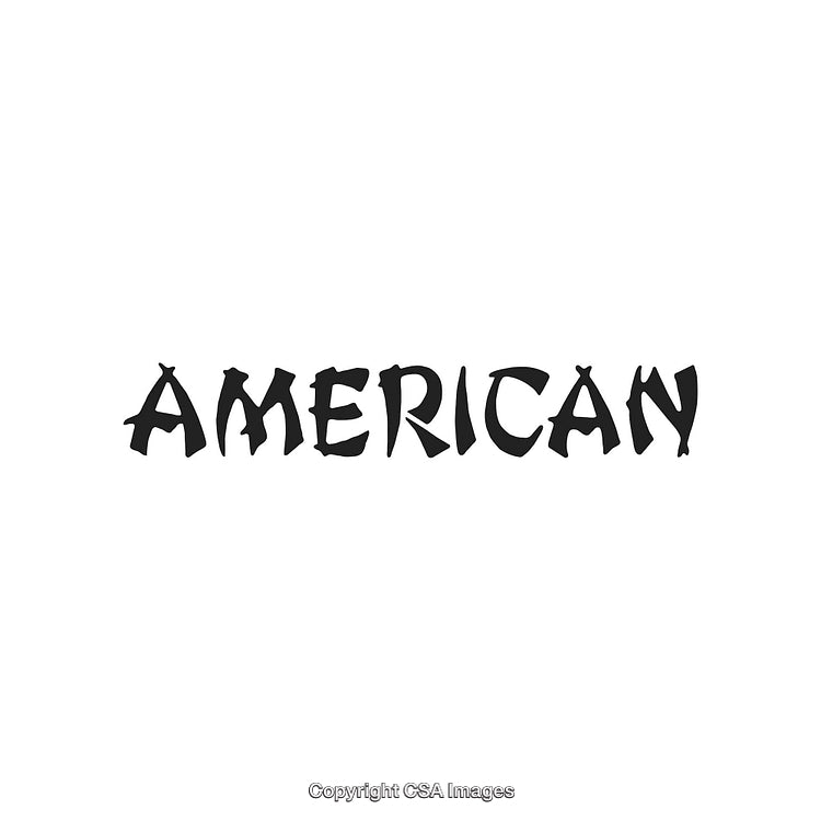 Creative Lettering Design Spelling the Word American in Unique Font Style