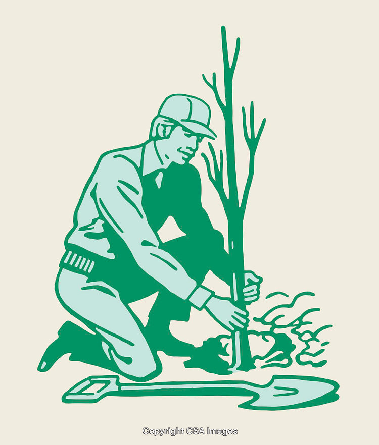 Illustration of a Man Planting a Tree in a Garden Setting