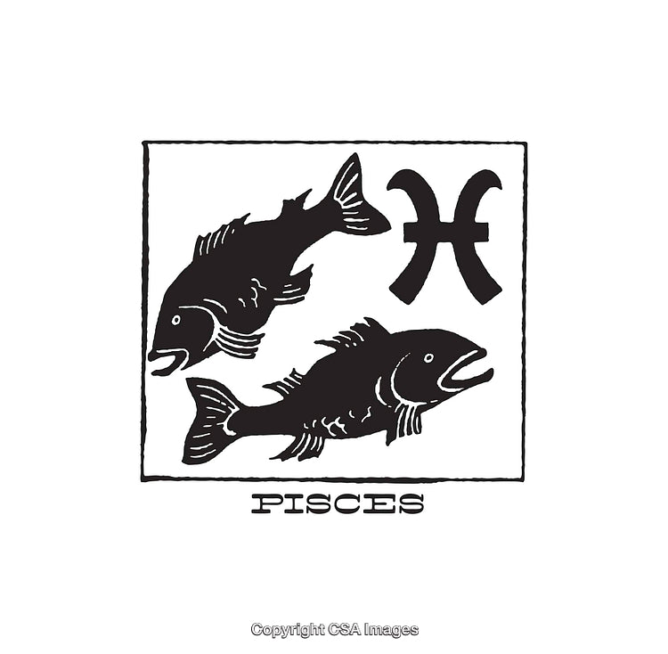 Black and White Pisces Zodiac Sign Illustration Featuring Two Fish Symbol
