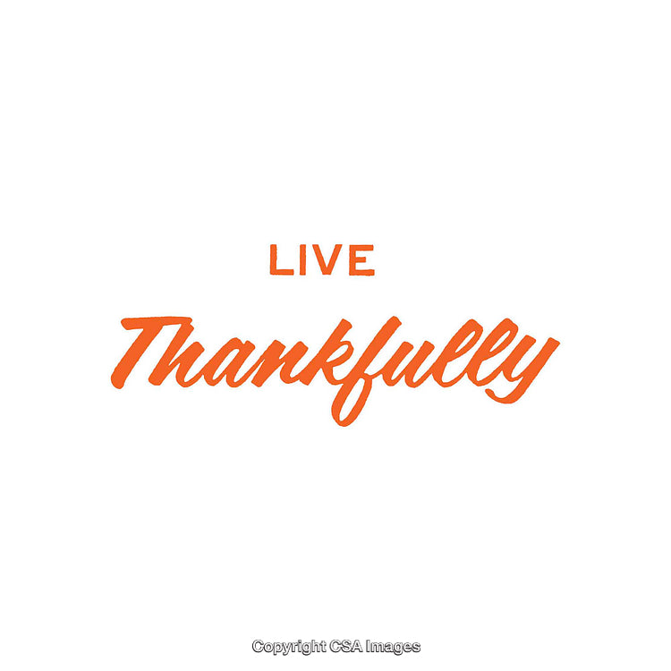 Inspirational Typography with 'Live Thankfully' in Bold Orange Letters