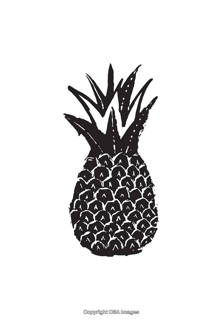 Black and White Pineapple Illustration with Intricate Details