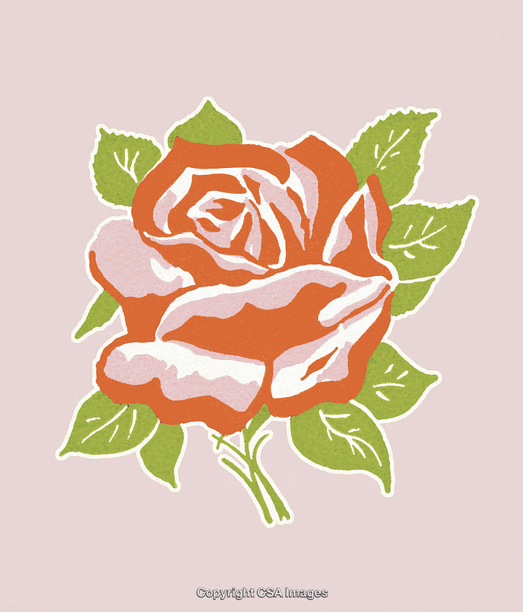 Red Rose