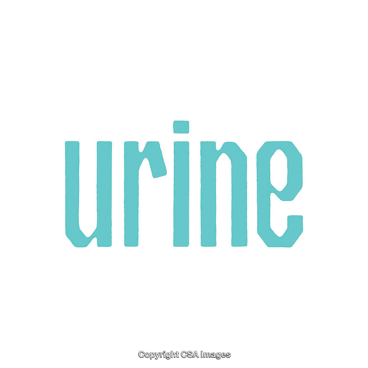 Minimalistic Typography Showing the Word Urine in Blue on White