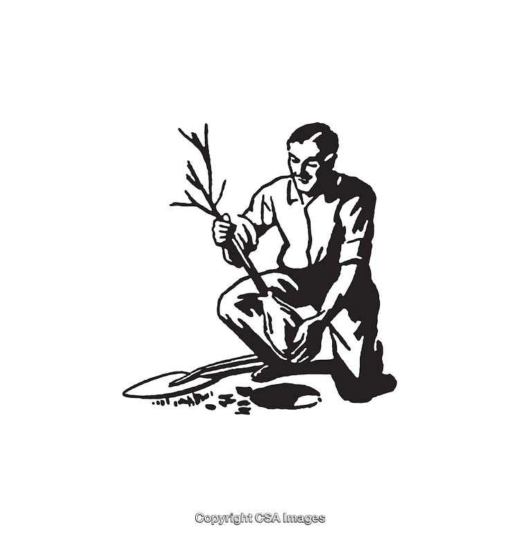 Black And White Illustration of Man Planting a Tree Sapling