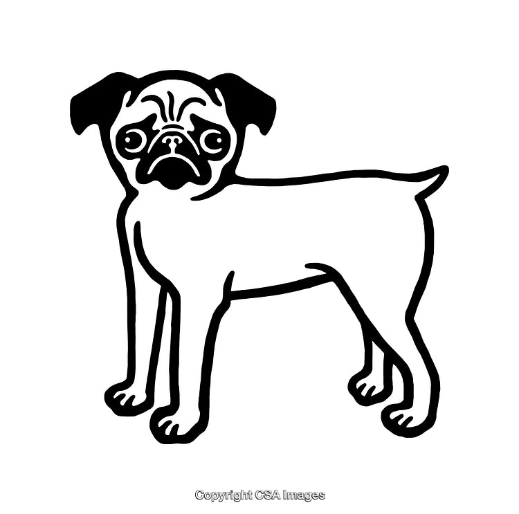 Black And White Line Art Illustration of a Standing Pug Dog