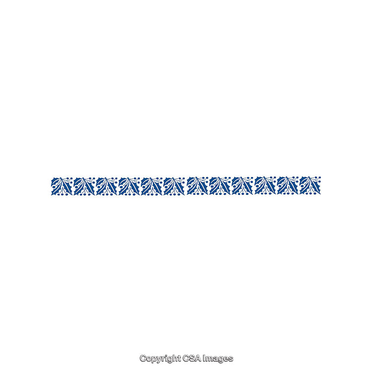Blue Floral Decorative Border with Symmetrical Pattern Design