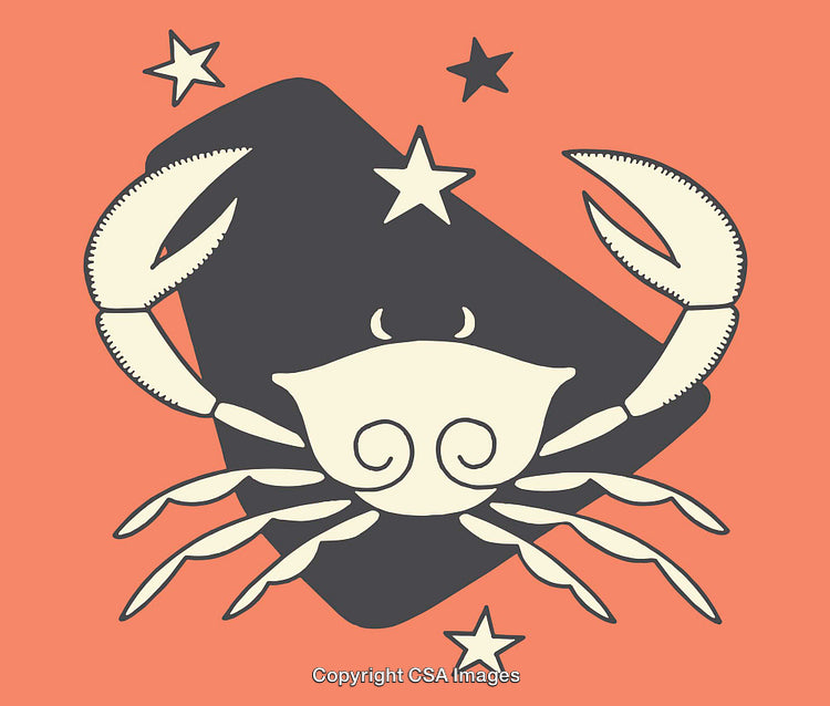 Stylized Line Art Crab Illustration with Geometric Elements and Stars