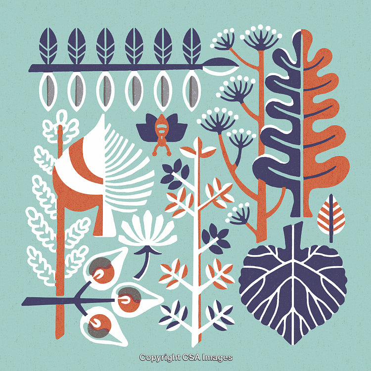 Abstract Nature Artwork Featuring Leaves and Plants with Decorative Details