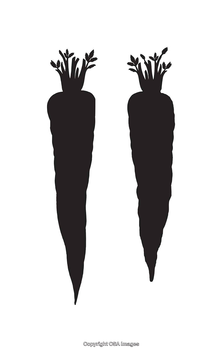 Black and White Silhouette Illustration of Two Carrots with Stems