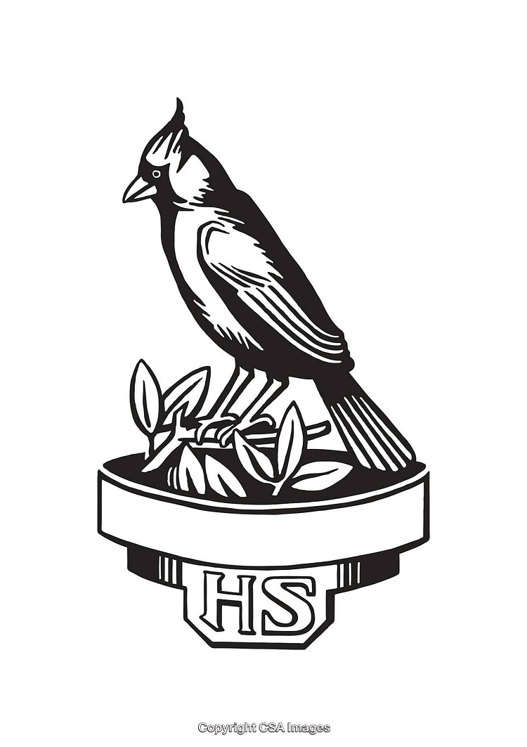 Elegant Black and White Illustration of a Bird Perched on a Branch