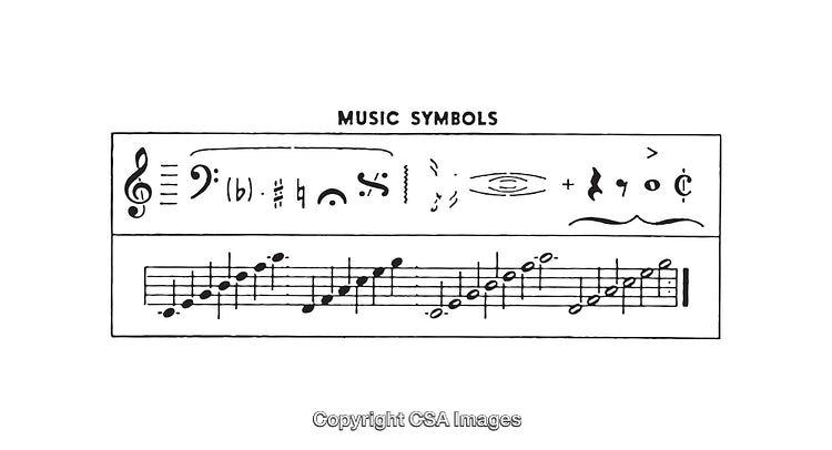 Detailed Black and White Diagram of Music Notation And Symbols