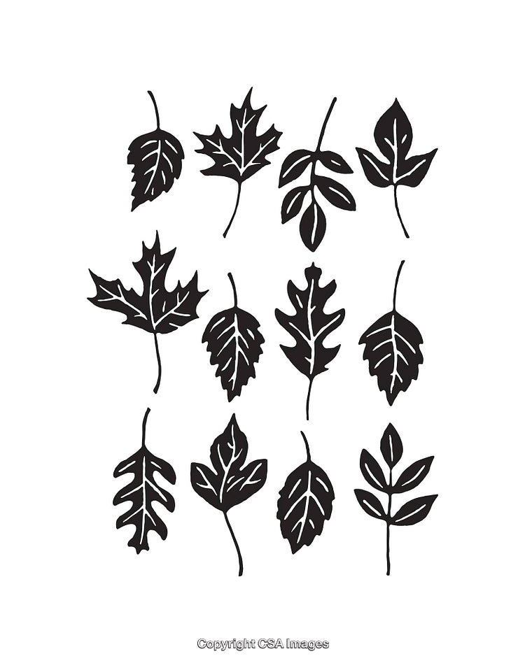 Collection of Black and White Line Art Leaves Illustrations