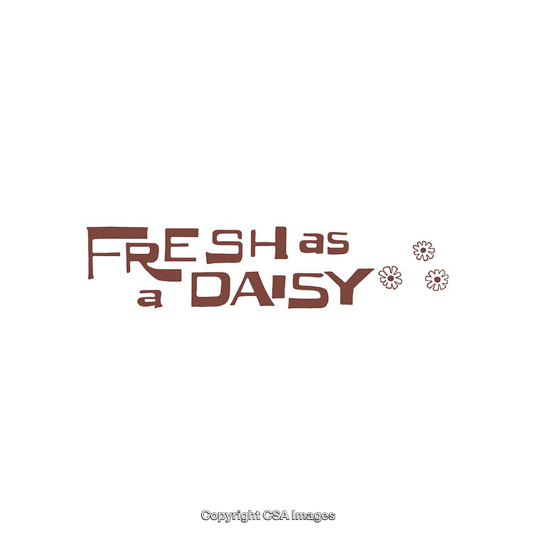 Fresh As a Daisy Typography With Decorative Elements on White Background