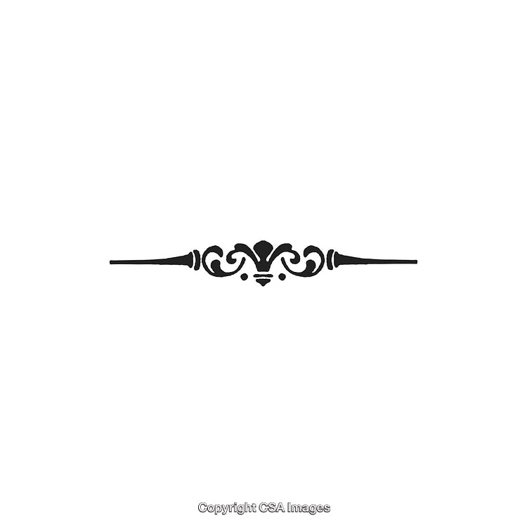 Elegant Black and White Decorative Design Ornament Vector Illustration