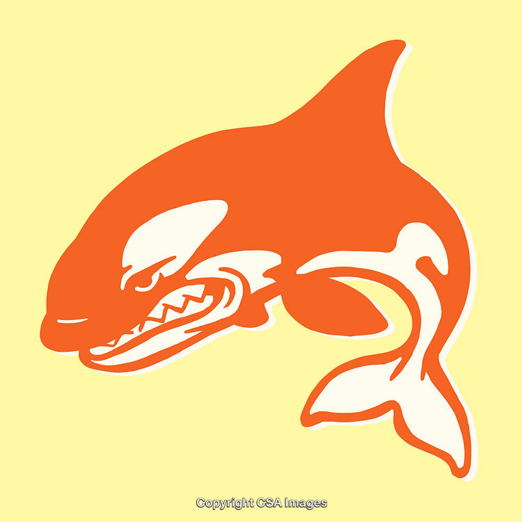 Bright Orange Orca Illustration on Soft Yellow Background