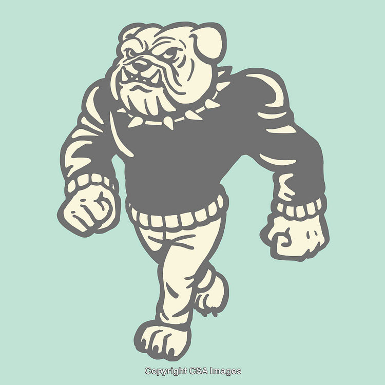 Retro Illustration of a Bulldog Character in Vintage Style Swimwear