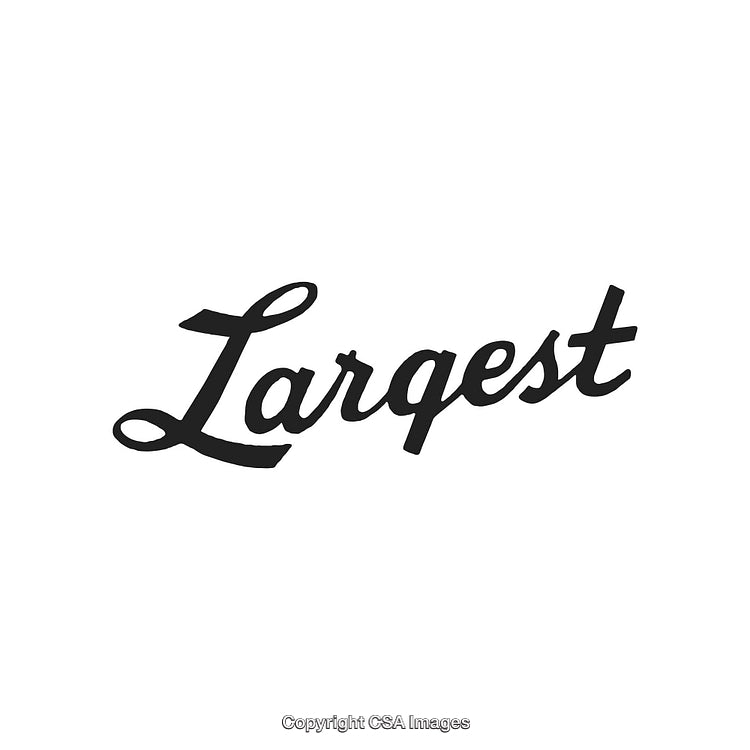 Elegant Black Scripted Font Spelling the Word 'Largest' on White Background