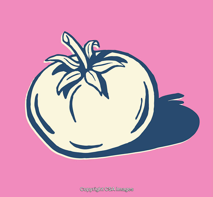 Illustrated Tomato Design with Vibrant Pink Background in Line Art Style