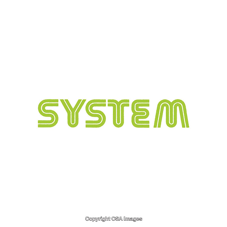 Minimalist Typography Artwork Highlighting the Word System in Green Text