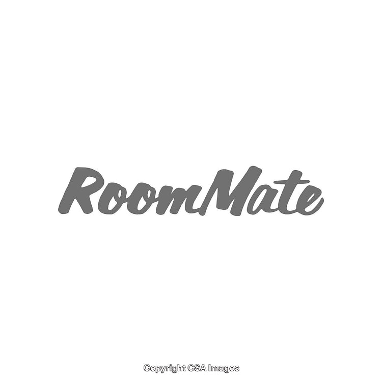 Stylized Gray Typographic Design Featuring the Word RoomMate on a White Background