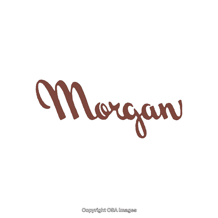 Cursive Lettering Displaying the Word Morgan in Stylish Typography