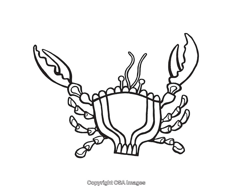 Black And White Line Art Illustration of a Crab Outline