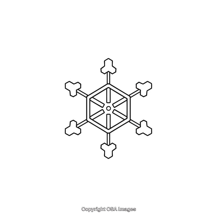 Minimalistic Black And White Hexagonal Snowflake Icon Illustration
