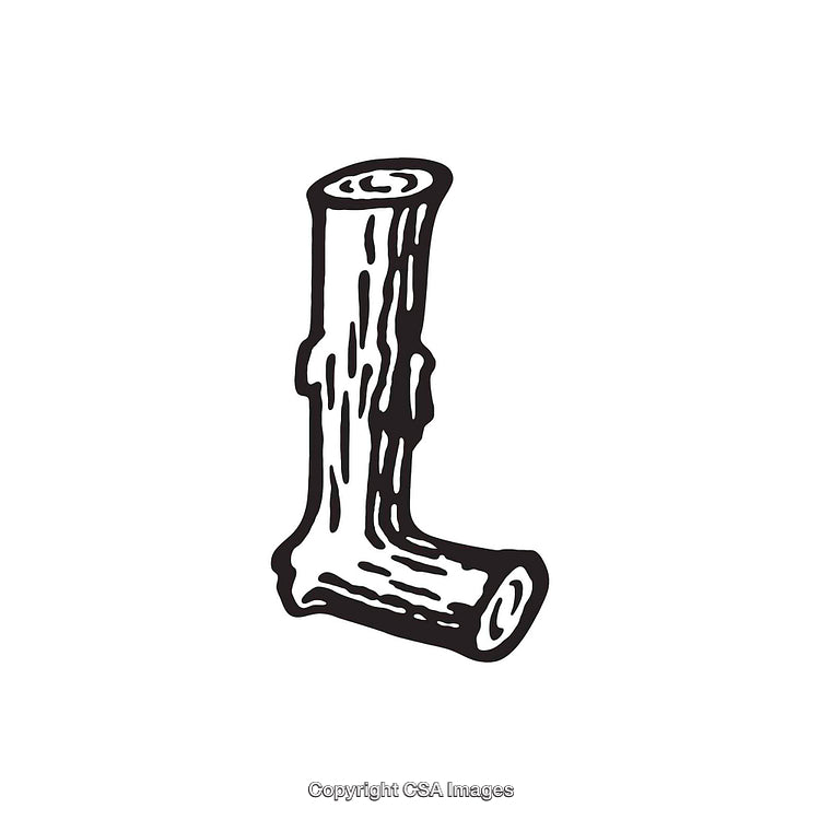 Rustic Hand-Drawn Illustration of the Letter L