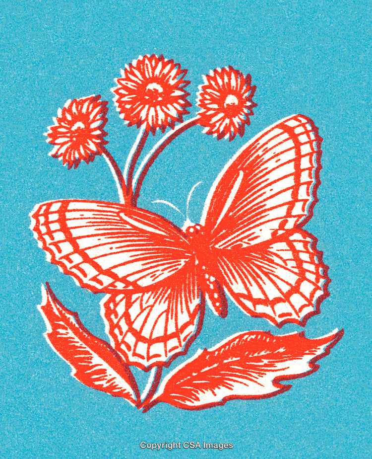 Vivid Butterfly Illustration with Floral Details on Blue Background