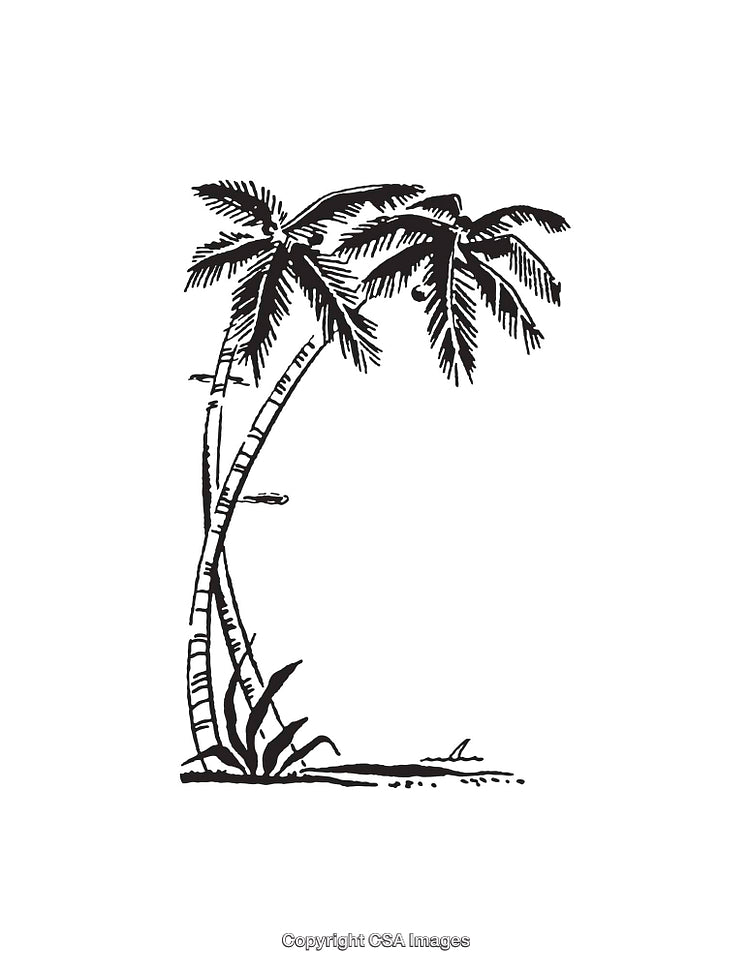 Black and White Line Art of Two Palm Trees in a Tropical Scene