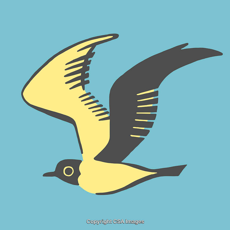 Colorful Line Art Illustration of a Bird in Flight on Blue Background