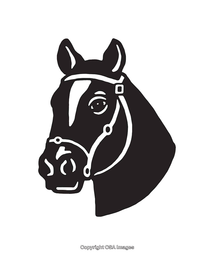 Black And White Line Art Illustration of a Horse's Head with Halter